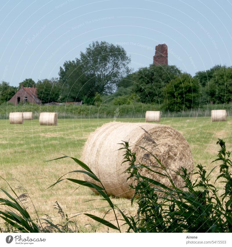 back to agriculture bale Bale of straw Agriculture Rural Hay Summer Landscape Straw Field harvested usable area neat agriculturally Roll Rolled brick Factory