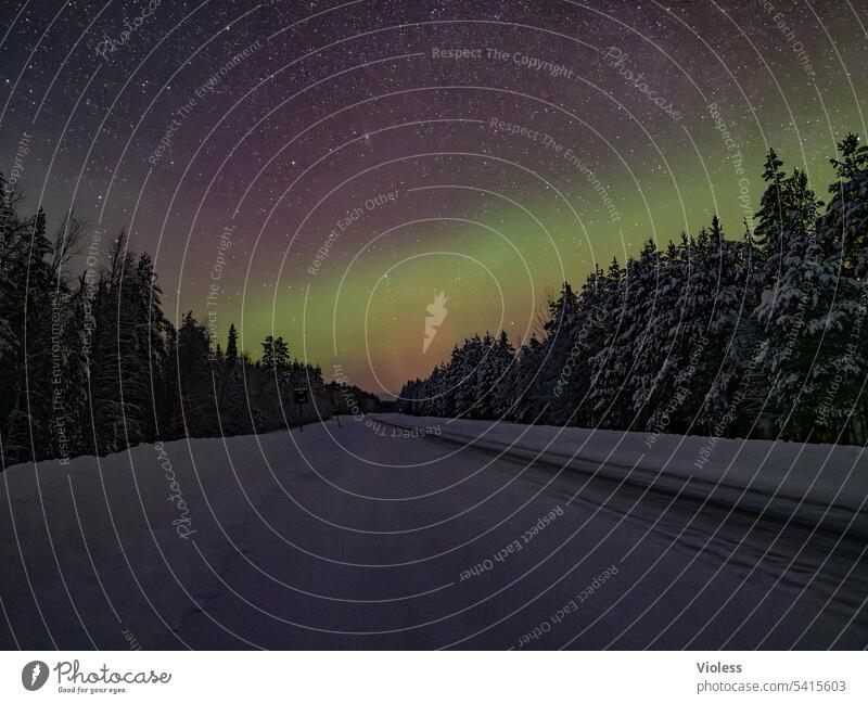 Off to the north - Northern Lights in Sweden Aurora Borealis aurora polaris aurora borealis stars Galaxy Snow Snowscape Milky way snowy chill Night firs