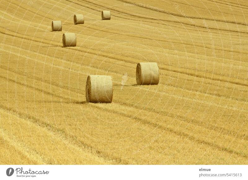 six bales of straw on harvested field Bale of straw Round bale of straw round bales Straw Grain harvest Stubble field Summer Blog Field Agriculture