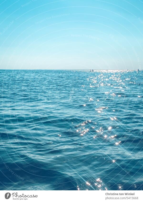 North Sea glitter Ocean Water Sunlight sparkle calm weather Beautiful weather Day Background picture Light reflections in the water pretty shine light reflexes