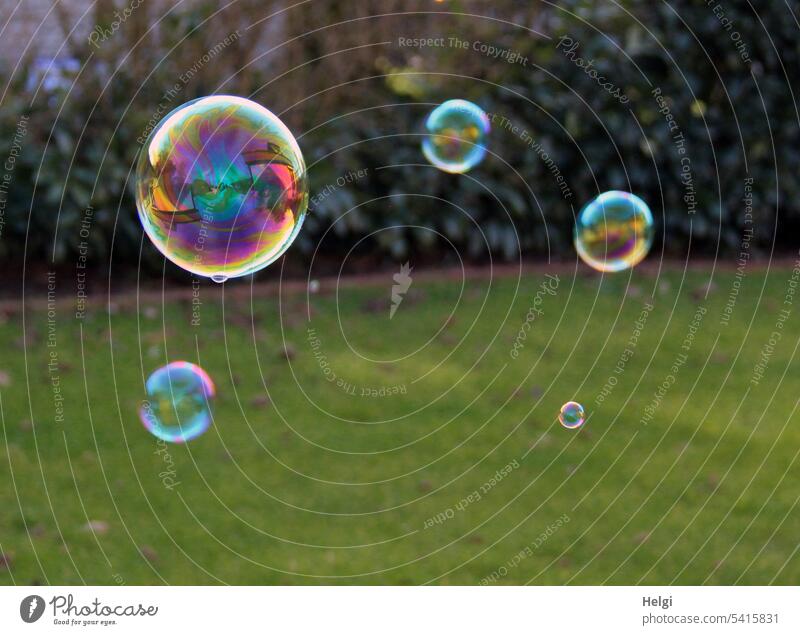 unsaleable | dazzling lightness soap bubbles Garden Meadow Bushes Hover Ease Easy variegated Dazzling Transparent Glittering Round Reflection Multicoloured