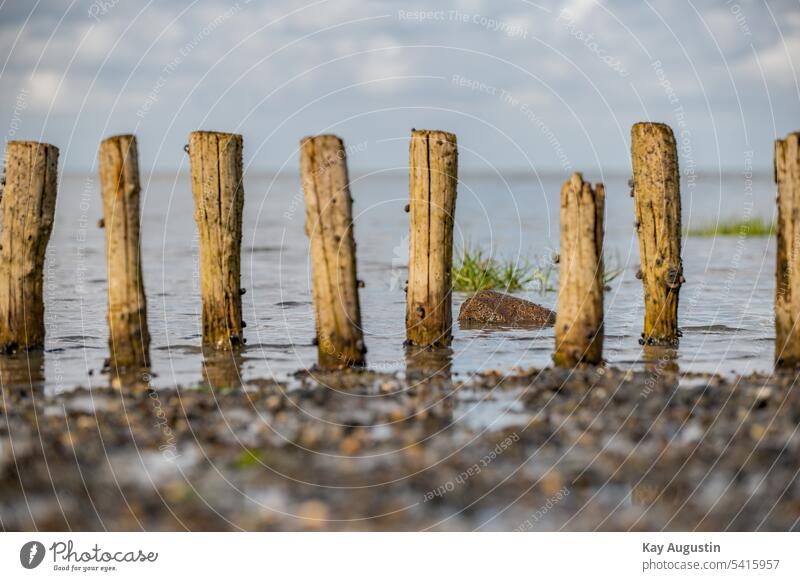 Lahnung on the Wadden Sea coastal protection land reclamation bank protection reflection Mud flats Northern Germany Sylt wooden peg rows