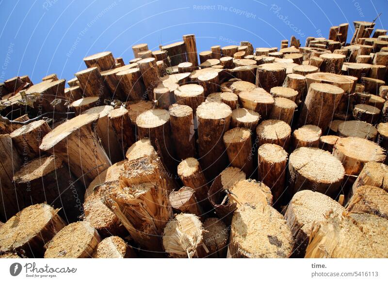 Lumberyard logs Stack of wood felling Forestry Heap stacked Sky sunny Nature Firewood Timber Logging Fuel Tree trunk Supply Material Energy naturally Wood Cut