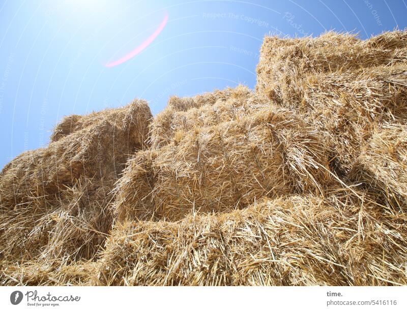 Food packages Bale of straw Straw cuboid Heap stacked Sky sunny Nature Supply Material Energy naturally Stack Cut Storage Dry Shadow Yellow Agriculture Blonde