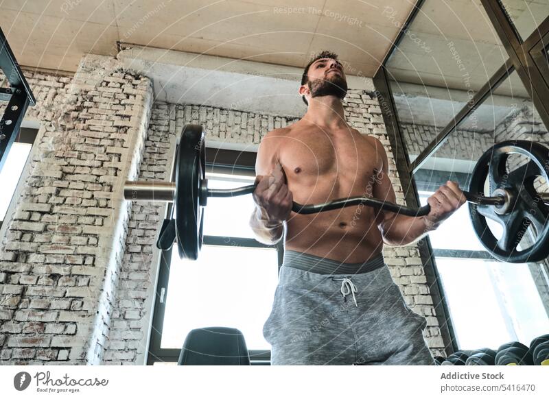 Bearded man exercising with barbell in gym lifting shirtless looking away fitness workout exercise weight male strong power bearded training sport athlete