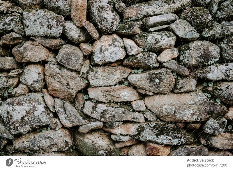 Stone wall texture background stone moss gray old rock solid construction built stacked rough cracked material backdrop design natural fence covered green