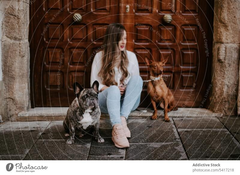 Woman with dogs on street woman pet few bulldog hound style porch sidewalk sitting cool urban owner together friend canine group city breed purebred expression