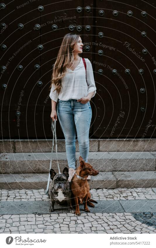 Stylish woman with dogs standing on street together style bulldog hound owner pet love company canine beauty expression beautiful animal city companion cute