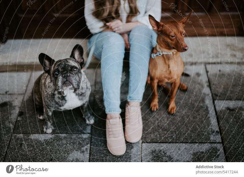 Stylish woman with dogs sitting on street together style bulldog hound owner pet love company canine beauty expression beautiful animal city companion cute