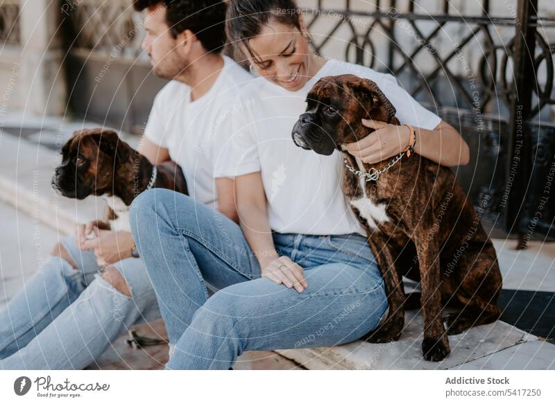 Adorable boxer dogs sitting with young people friends adorable happiness animal love pet hugging leisure amusing happy funny cute friendship beautiful domestic