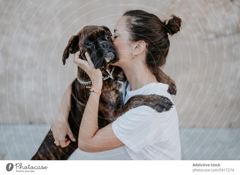 Young woman hugging with spot dog trusting leisure together happiness embracing boxer animal love pet young happy friendship cute beautiful female domestic