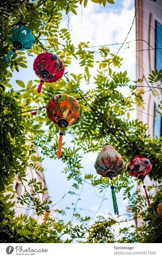 Colorful lanterns in the canopy Lampion lampions Leaf canopy Tree decoration clearer lamps Illuminate Town Decoration Street Festive Japanese Asian