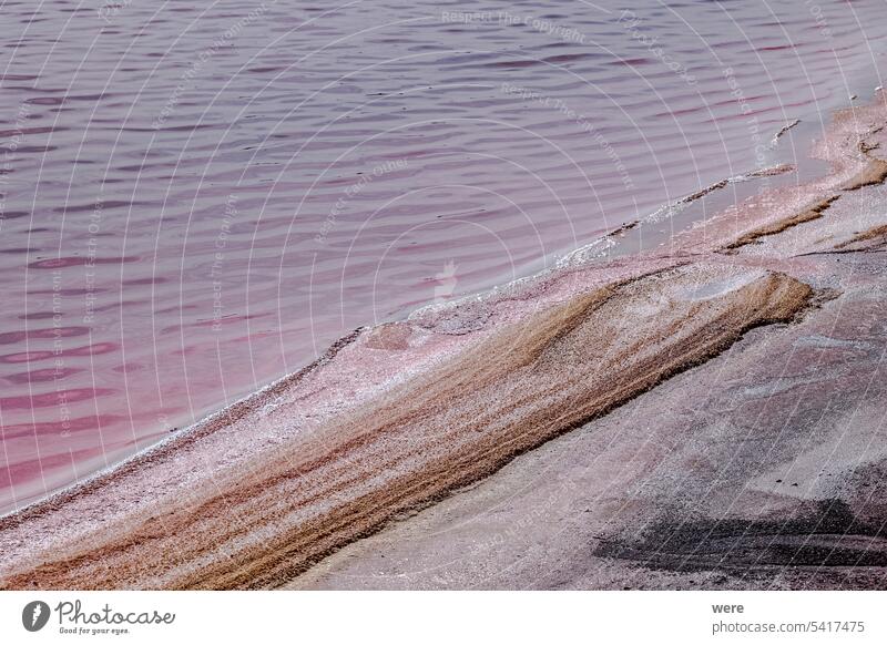 Salt-encrusted stones and pink water in the salt flats near Aigues-Mortes in the Camargue region Camarque Canal du Midi Canal du Rhône à Sète France