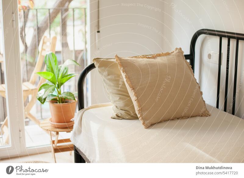 sofa or couch with beige bedding and pillows and green houseplant at minimal home interior. Growing plants and urban jungle hobby. Tropical home decor.