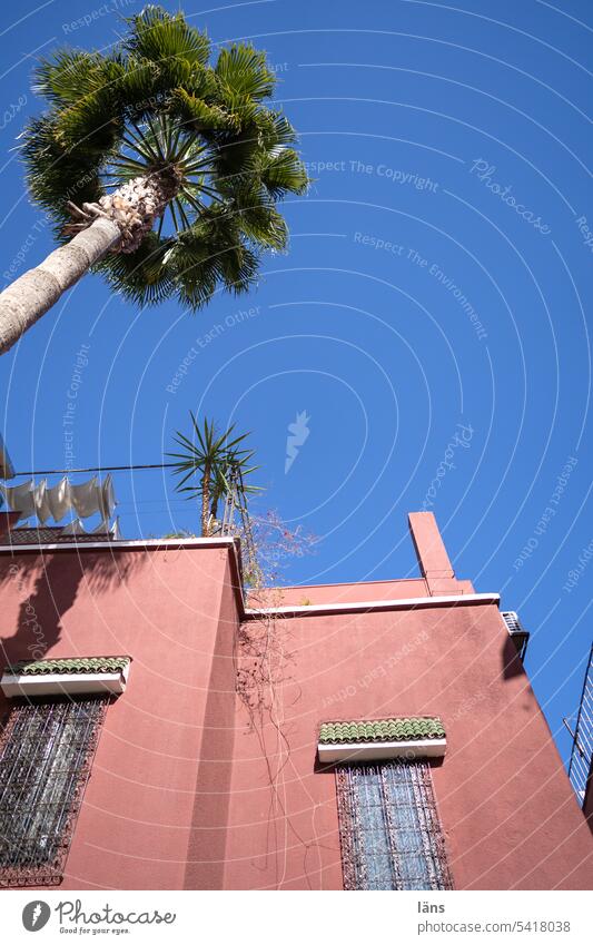House in Marrakech Marrakesh Morocco House (Residential Structure) Palm tree Deserted Copy Space top Exterior shot Copy Space left Colour photo