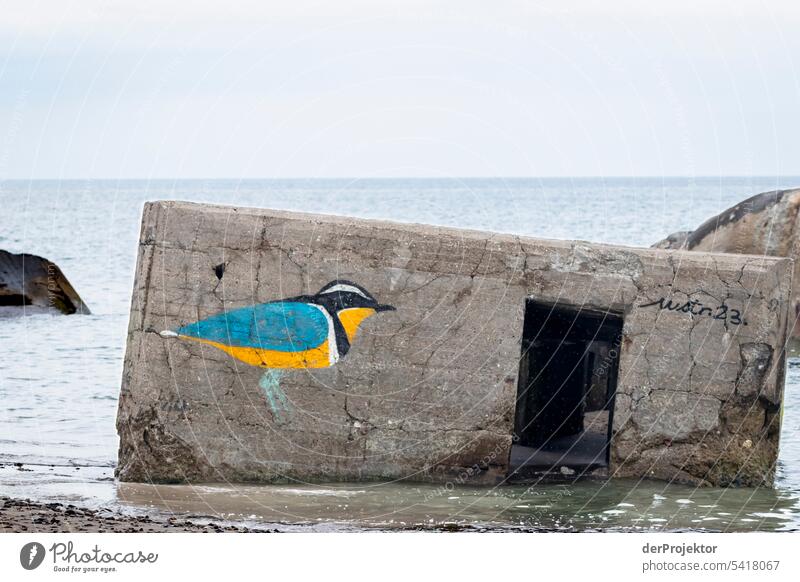 Former bunker with bird on the beach Sand Colour photo Relaxation Beach life Vacation & Travel bathe Recreation area vacation Vacation mood Ocean