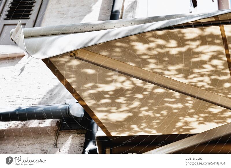 Awning and shade from foliage Shadow Contrast Summer Brilliant Summery Yellow Sun blind White Sunlight Light Day urban Town Beautiful weather sunny Bright