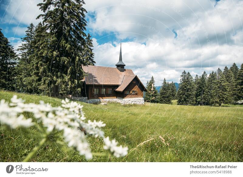 Church with tree and flower in foreground Hiking Vantage point Mountain Switzerland Nature Landscape Alps Exterior shot Colour photo Tourism Clouds