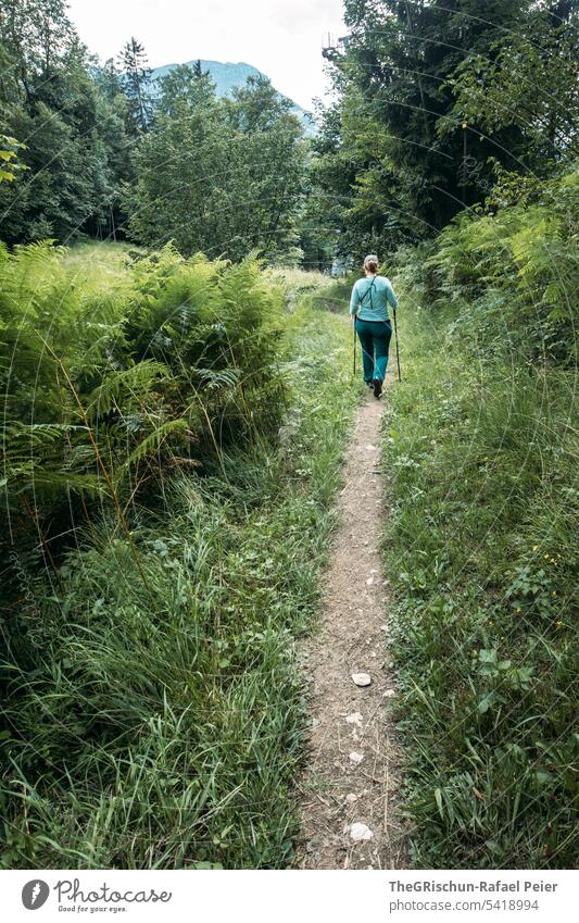 Woman on hiking trail in forest mi farm Hiking Vantage point Mountain Switzerland Nature Landscape Alps Exterior shot Colour photo Tourism Clouds in the sky