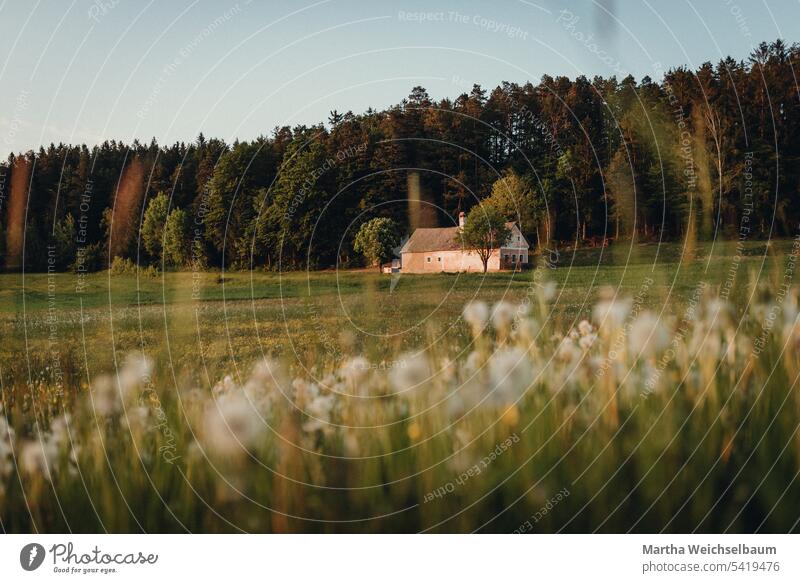 Landscape shot with small farm and dandelion meadow small farmhouse Waldviertel Farm pink farm Dandelion Idyll Country life Austria Home country country lust