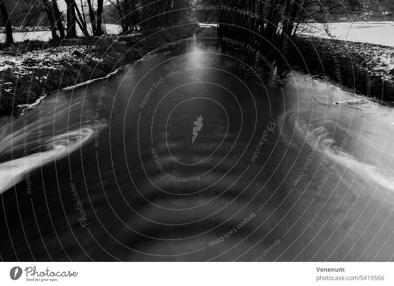 Long-term exposure of a river in winter in Germany, black and white Rivers water waters water reflections forest forests branch branches green lung leaf leaves