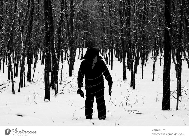 Silhouette of a man in winter clothes in a snowy young oak forest,black and white Forests tree trees forest floor floor plants weeds ground cover trunk trunks