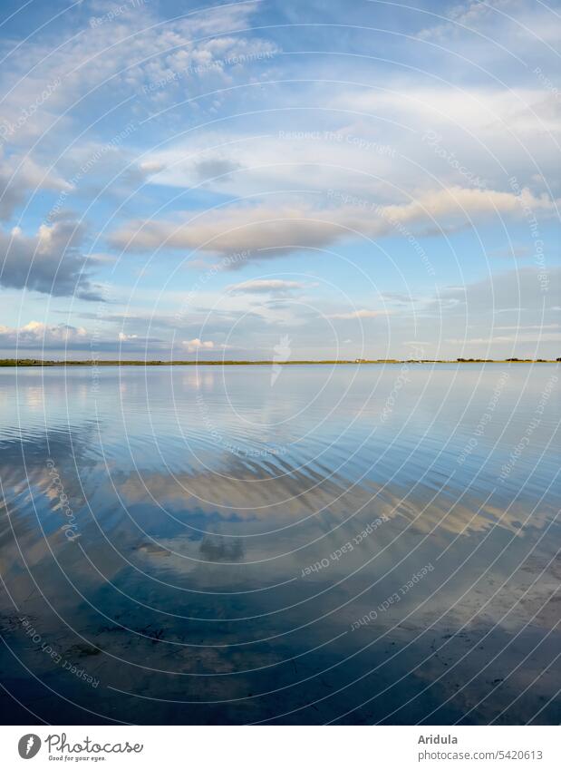 The evening cloudy sky reflected in the shallow Baltic lagoon Water Ocean Lagoon Baltic Sea Sky Clouds Landscape Horizon bank Surface of water Blue clear Bright