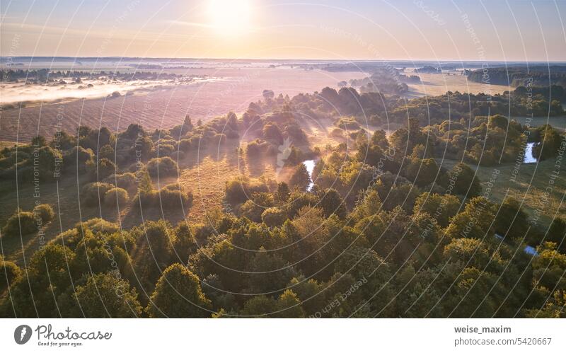 Aerial summer sunrise view. Rural landscape, river meandering in forest green trees. Morning Misty Scene. Serene atmosphere fog panorama. Agriculture fields, wood on riverbank