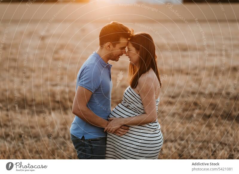 Couple awaiting baby in field couple pregnant hay field sunset love touch belly together tender countryside man woman nature expect relationship maternal happy