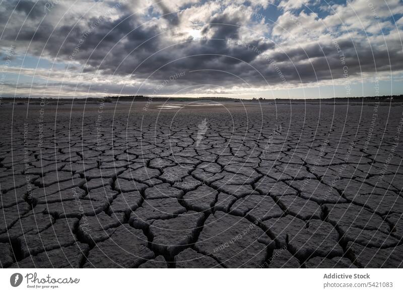 Dry cracked terrain under cloudy sky drought dry ground nature desert land hot ecology lifeless background texture heat landscape global warm arid wild climate