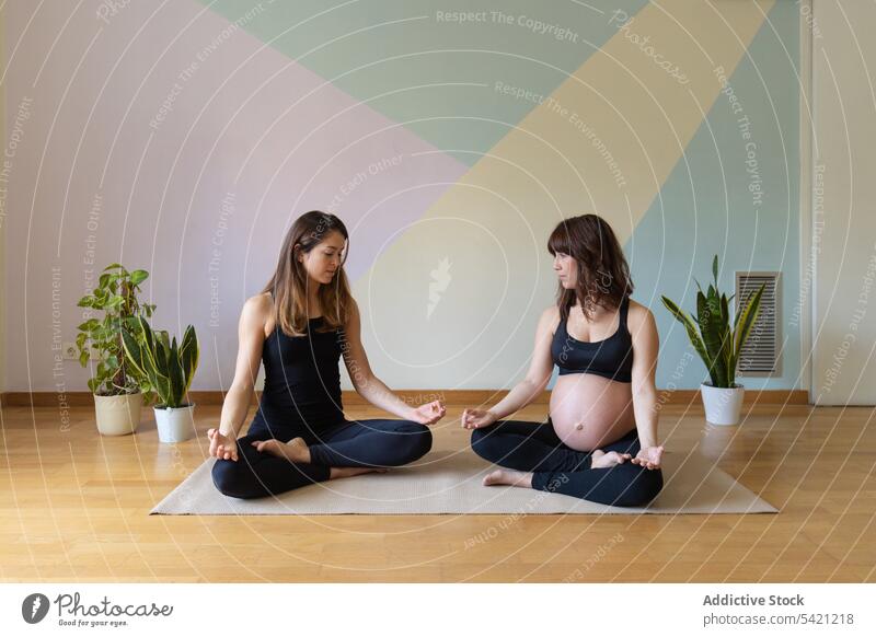 Pregnant woman and trainer meditating in studio women yoga meditate pregnant lotus pose training exercise together healthy wellness practice well-being belly