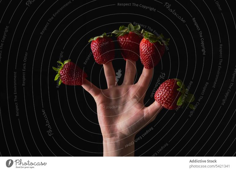 Crop child with strawberries on fingers kid play strawberry summer concept show ripe fresh dark season demonstrate food fruit snack red game vitamin idea