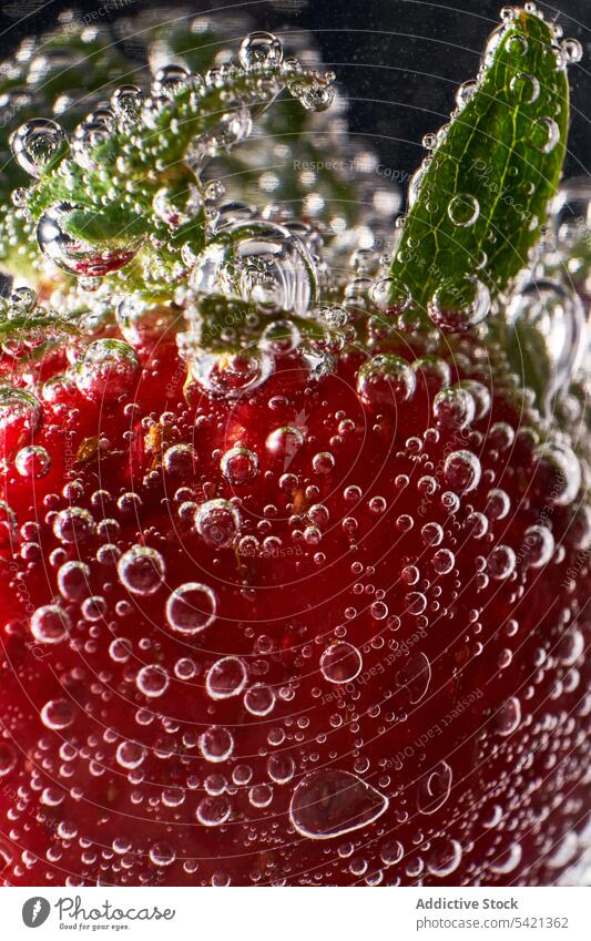 Fresh strawberry in clean water air bubble fresh ripe summer red green transparent clear food fruit drop drink dessert splash cold wet liquid organic season
