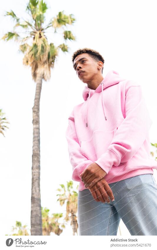 Informal young ethnic guy in pink hoodie man style hipster trendy modern color outfit confident afro palm tree dyed hair millennial male serious