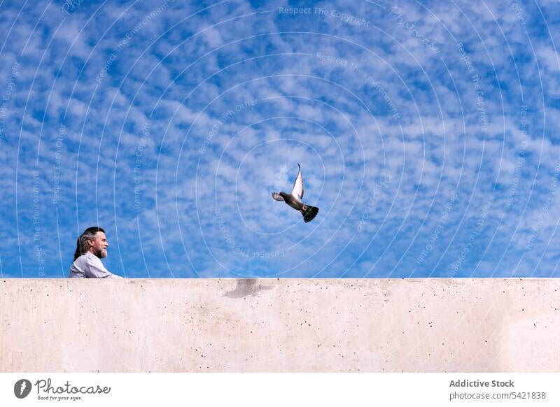 Happy mature man and flying bird against blue sky fence pigeon peaceful rest positive freedom concept businessman middle age beard cloud male urban relax modern
