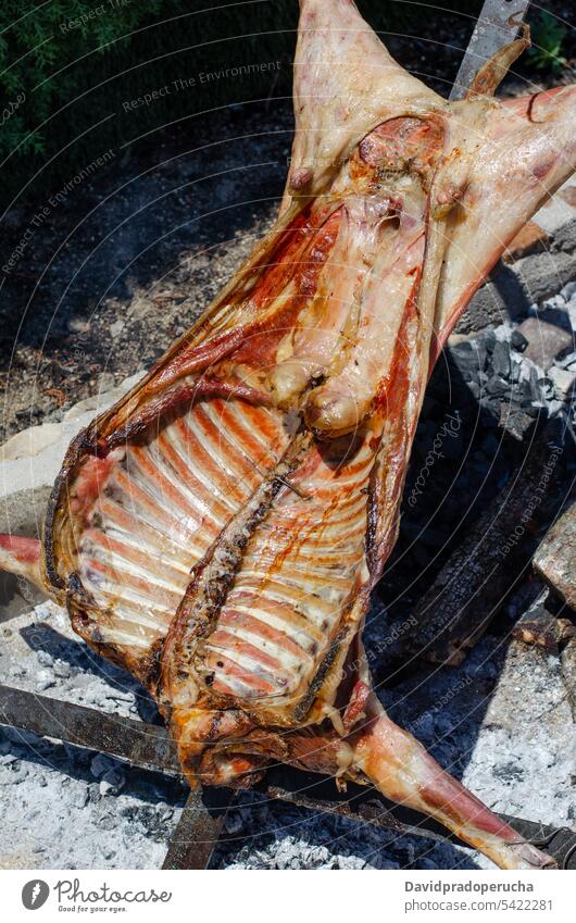 Lamb roasting in a barbecue lamb roasted grilled ribs meat animal charcoal food bbq cooking cuisine embers stick summer outdoor fire whole hot mutton heat