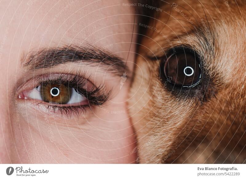 studio portrait of human and dog eyes. pets concept veterinary background fur muzzle ridge mammal girl love hair breed purebred female domestic stand funny