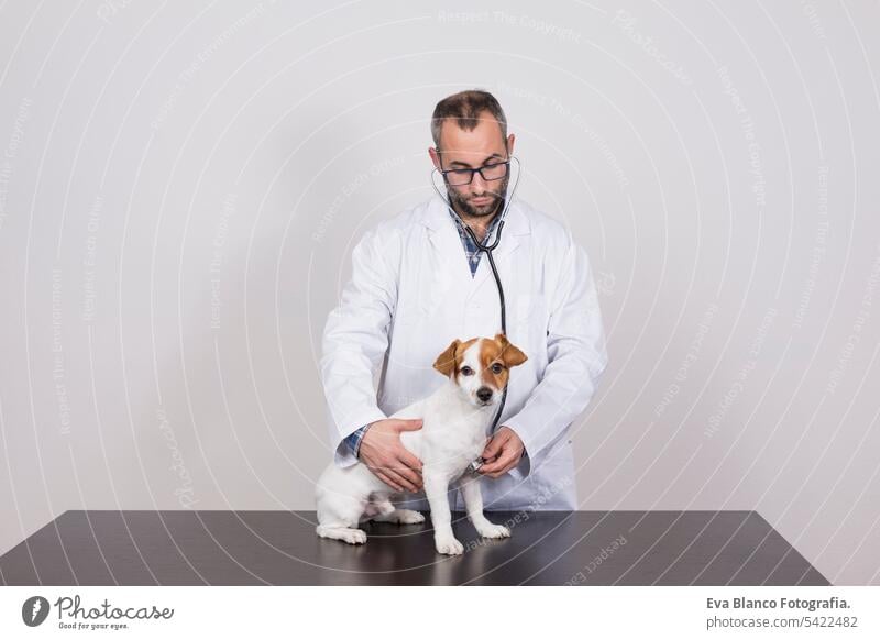 young veterinarian man examining a cute small dog by using stethoscope, isolated on white background. Indoors medicine owner male clinic happiness analysis