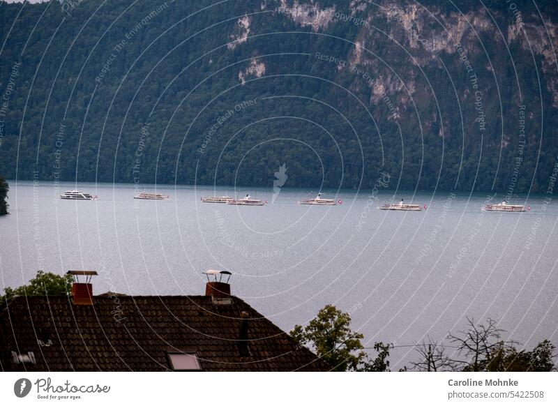Parade of ships on Lake Lucerne on Swiss National Day Ship parade Water Summer Landscape Vacation & Travel Blue Steamer Steamships Meggen house roof Tourism