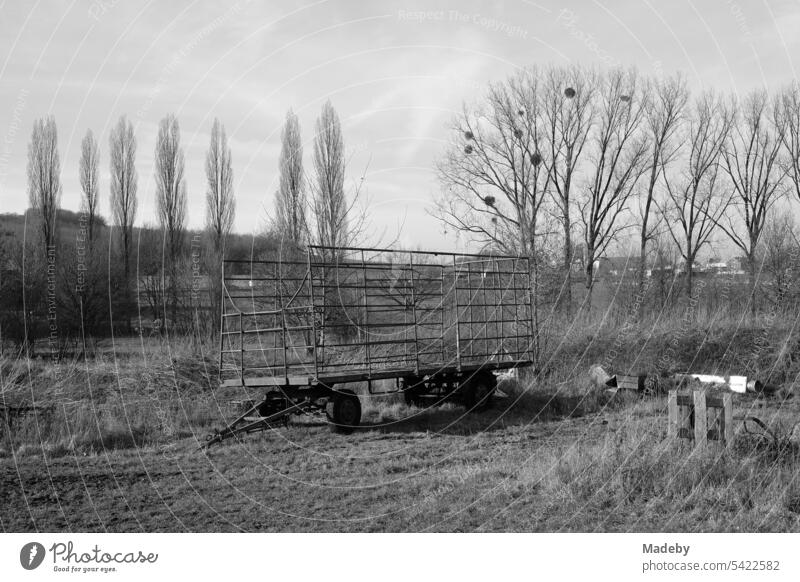 Trailer for tractor with flatbed for hay bales in autumn sunshine on farm in Asemissen near Leopoldshöhe and Bielefeld at Teutoburg Forest in East Westphalia-Lippe in n neorealistic black and white