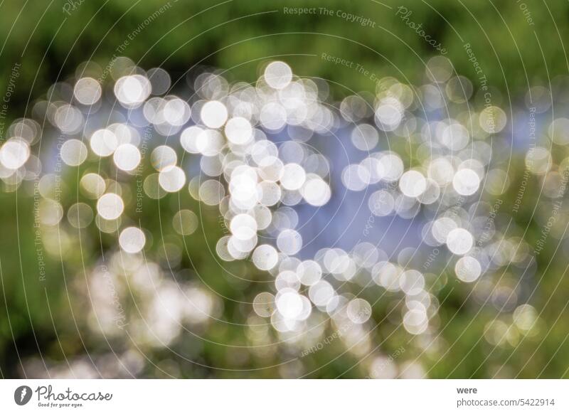 Blurred bokeh light points in a water surface with meadow plants Background Bright Cereal H2O Inningen Liquid Oats Rye Stubble field View agricultural barley