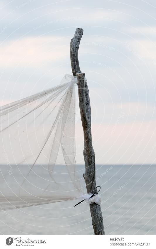 thin tree trunk or branch with fine net in front of baltic sea, horizon and sky with clouds Baltic Sea Ocean Net Branch Tree trunk Horizon Sky Clouds