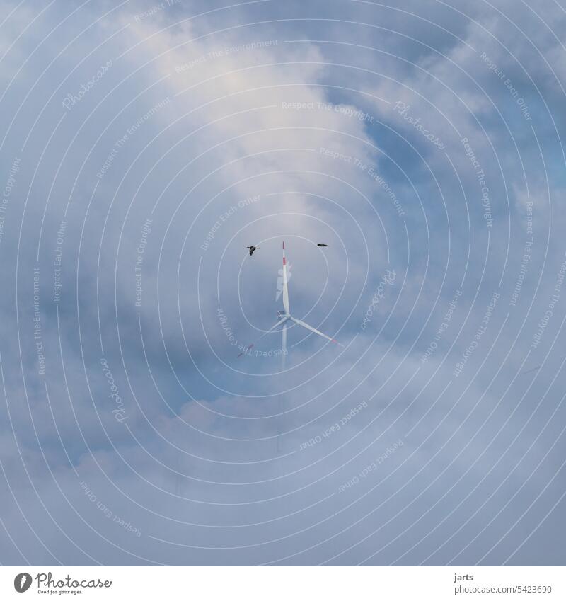 Wind turbine in the clouds, with two black storks flying by Pinwheel Clouds Black Stork Sky progress wind power sustainability Environmental protection
