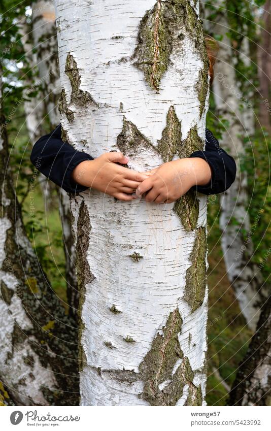 again and again | hug a tree topic day over and over Tree Embrace Tree cuddling Tree trunk Birch tree Child Arm Girl Nature Forest Exterior shot Colour photo