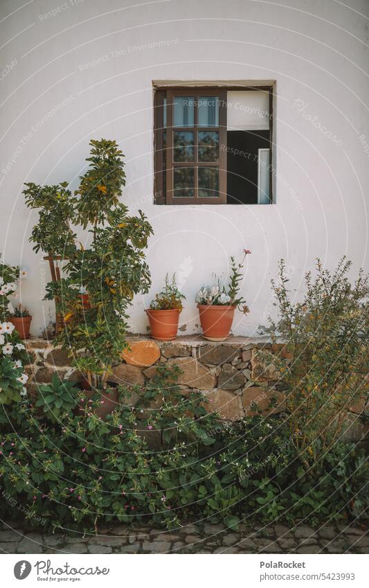 #A0# Spanish house Mediterranean Spain Architecture Building Tourism Facade Window flowers Flowerpot House (Residential Structure) Wall (building) Town