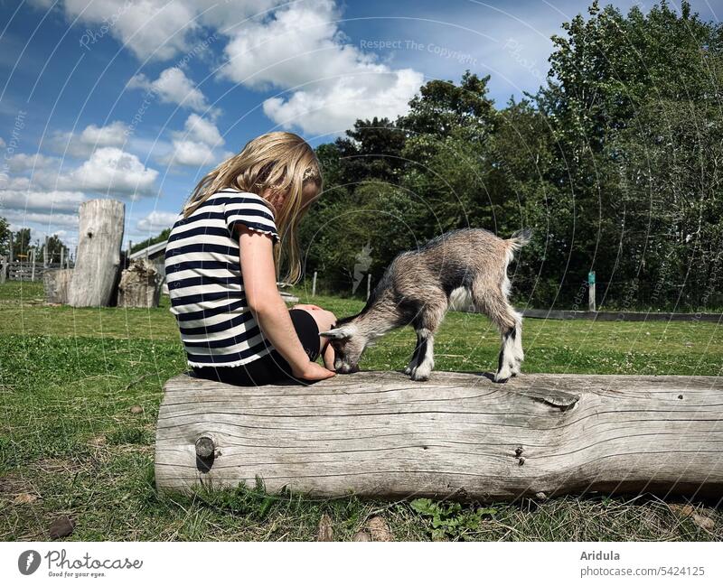 Careful approach | child and small kid on a tree trunk Child Girl goat Kid (Goat) Animal Petting enclosure Farm animal Baby animal Exterior shot Nature To feed