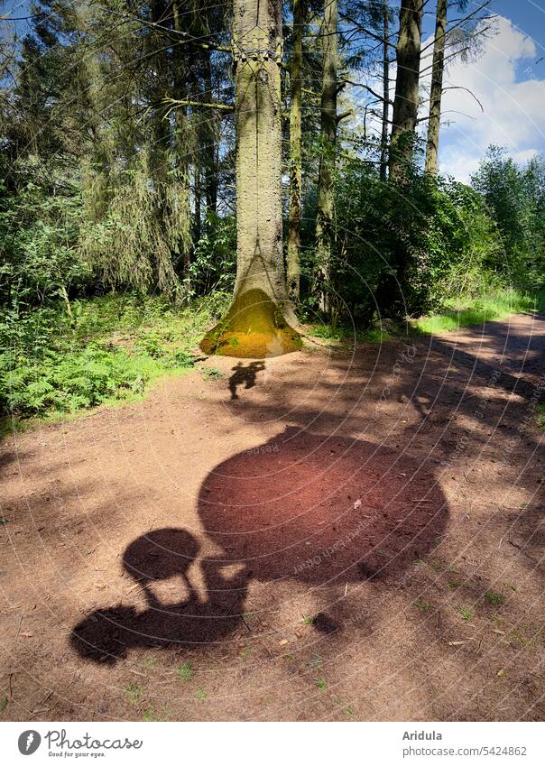 Shadow play with balls in forest Forest free time fun Playing Ball Summer Sun unusual Movement Child Joy Round Exterior shot Visual spectacle