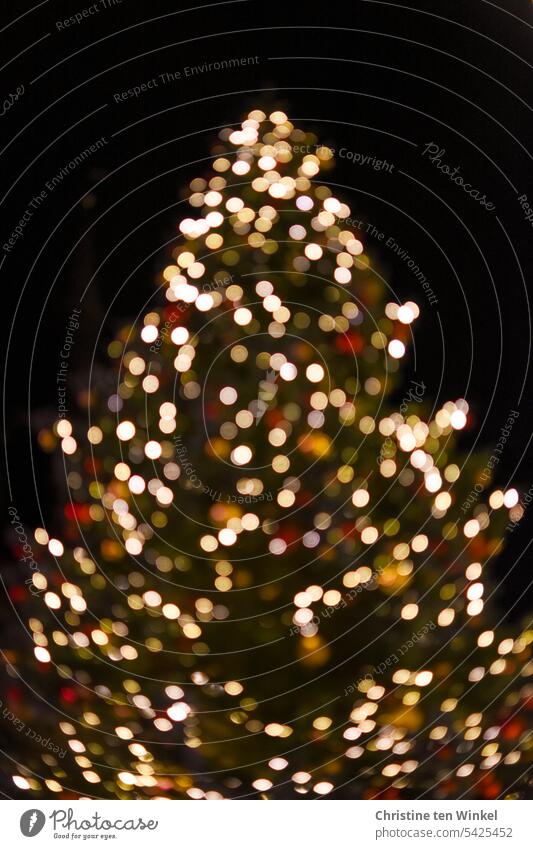 Oh Christmas tree | with sparkle and glitter Christmas decoration Christmas fairy lights Illuminate Tradition splendour Anticipation shine clearer blurriness