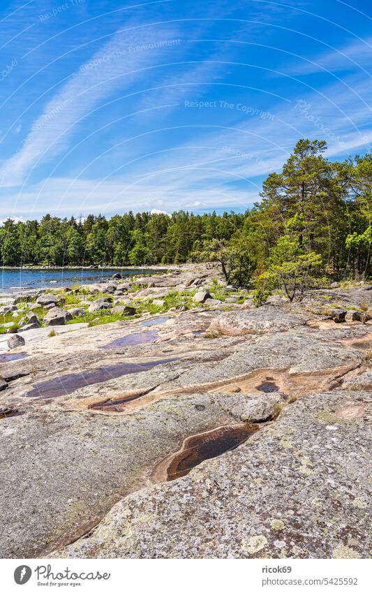Baltic coast with rocks and trees on Sladö island in Sweden Island Västervik Ocean Baltic Sea hasselö Landscape Nature Water Stone Rock Kalmar county Smaland