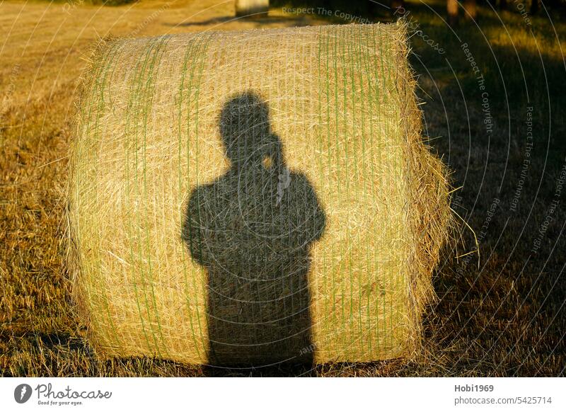 Photographer casting a shadow on a bale of hay while taking pictures Take a photo Shadow Hay bale round bales Farmer Agriculture agriculturally Landscape